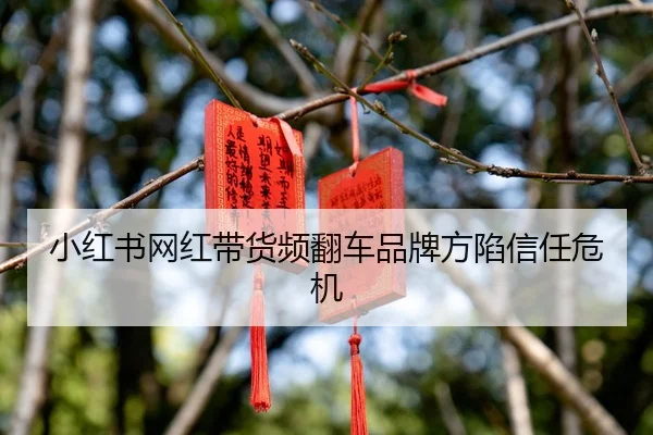 小红书网红带货频翻车品牌方陷信任危机